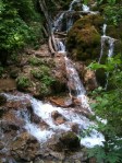 on the hanging lake trail